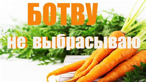 Вред горчивой моркови для здоровья