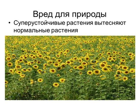 Вред для природы