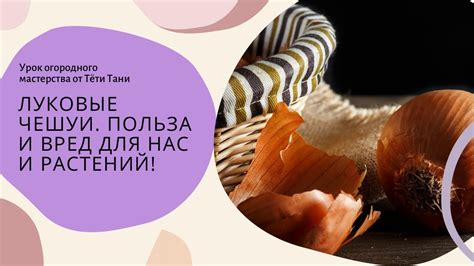 Вред чешуи для организма
