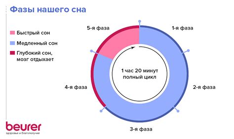 Время необходимое для организма для восстановления