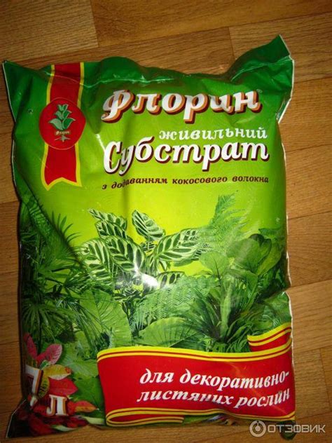 Выбор подходящей воды для замиокулькаса