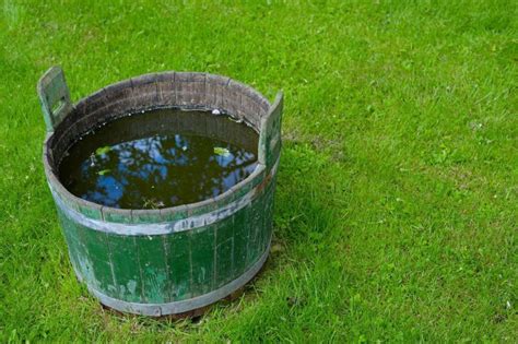 Выливать мыльную воду