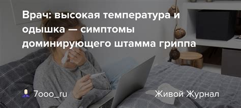 Высокая температура и влажность