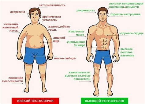 Высокий уровень тестостерона