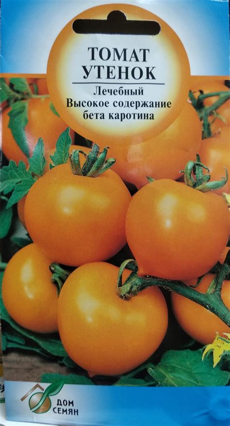 Высокое содержание каротина