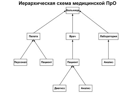 Выяснение иерархии в стае