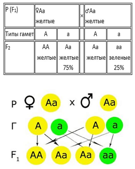 Генетическая наследуемость от предков
