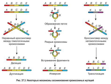 Генетические мутации и светлые черты турок