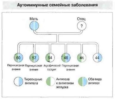 Генетические факторы и их влияние на глаза кота