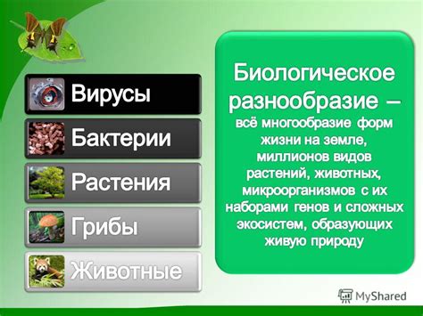 Генетическое разнообразие и преимущества