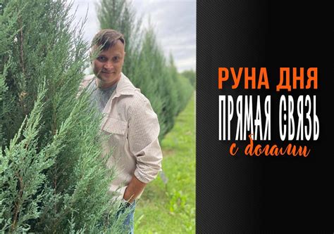 Глубинный образ Полифемы и его связь с животными богами