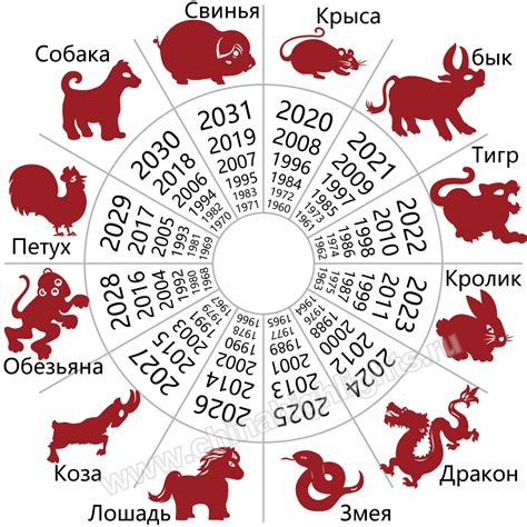 Год рождения