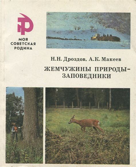 Голос природы: крики дроздов соединяют нас с окружающим миром