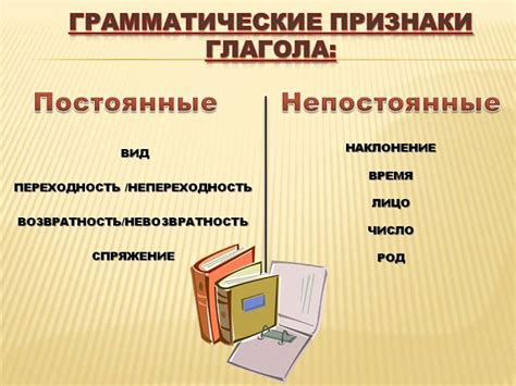 Грамматические особенности слова
