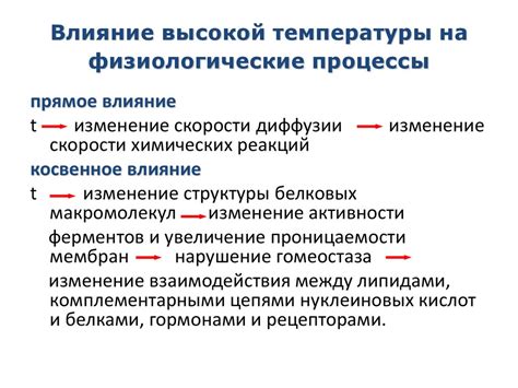 Действие низких температур на краску