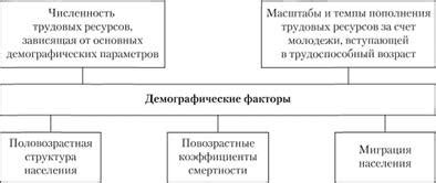 Демографические факторы, способствующие высокой рождаемости