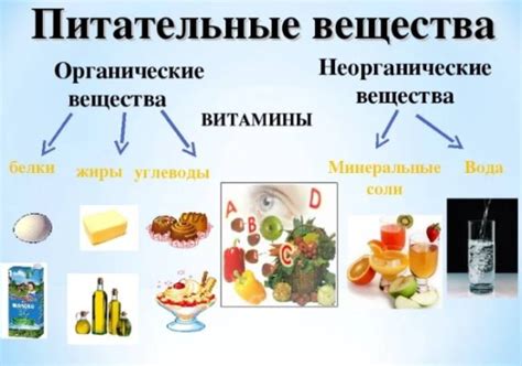 Дефицит питательных веществ и ослабление волосяных фолликулов