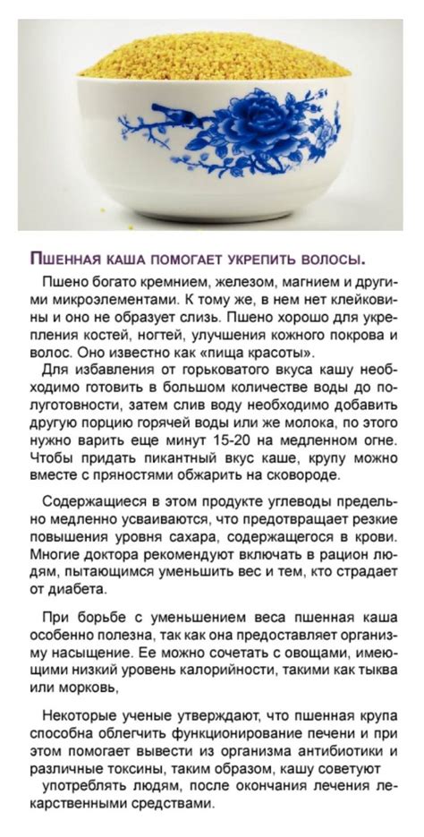 Добавление пшенной каши в рацион кур: полезное решение