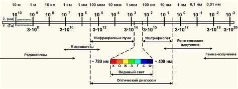 Доза рентгеновского излучения