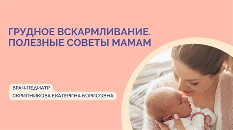 Другие возможные источники белка для кормящей мамы
