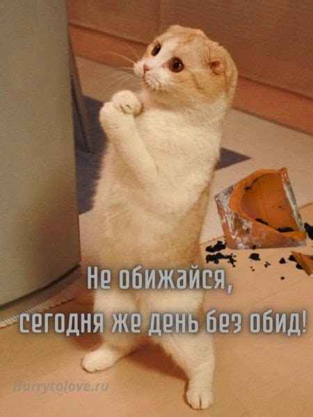 Дружба должна быть без обид