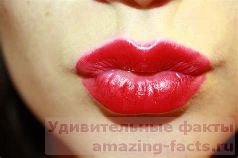 Душение при поцелуе: факты и статистика