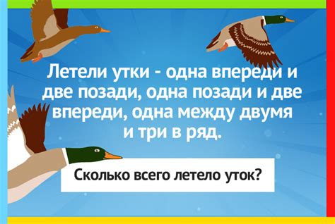 Загадка утки: внезапное возвращение