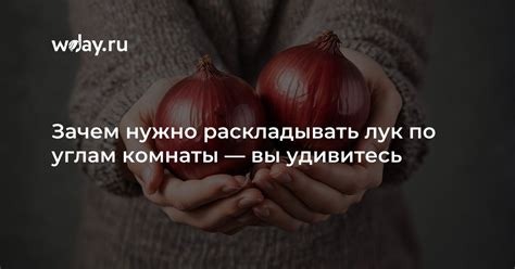 Зачем нужно очищать лук