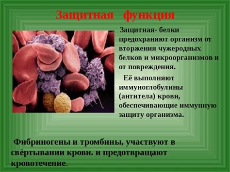 Защитная функция