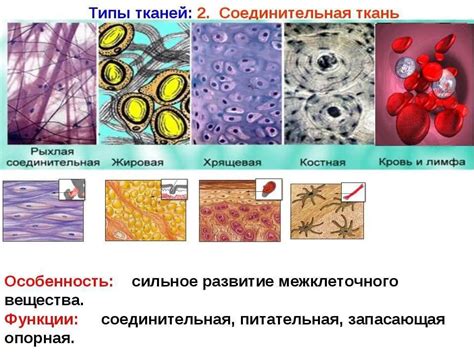 Защитные функции моргания в организме человека