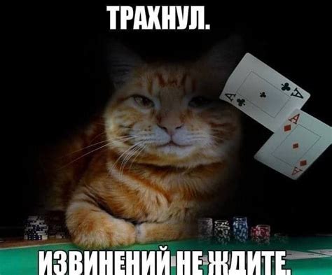 Значение извинений
