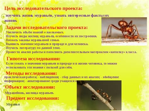 Значение лепесткового клапана в жизни муравьев