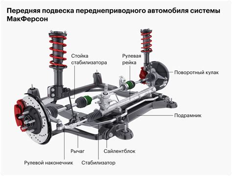 Значение подъема автомобилей на задние колеса для авто-шоу и развлечений