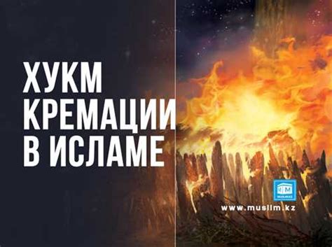 Значение снов в повседневной жизни мусульман