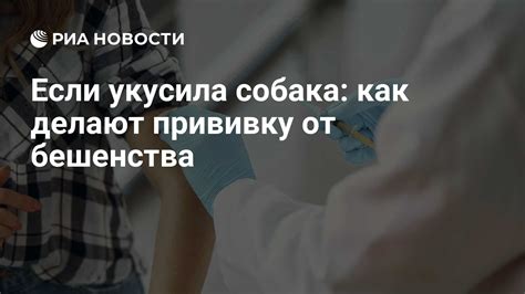 Значимость защиты от бешенства