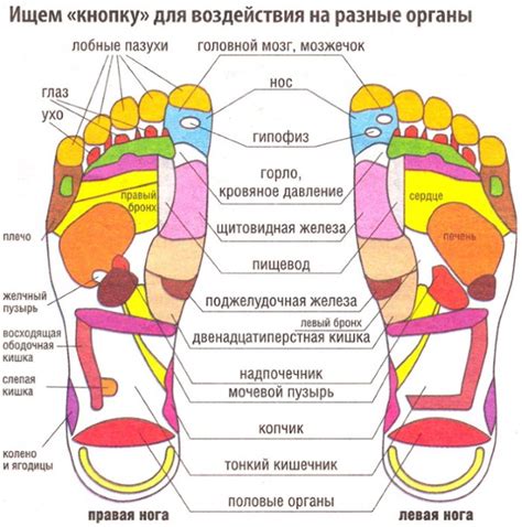 Иглоукалывание и массаж: их влияние на организм