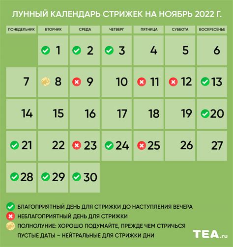 Идеальное время для стрижки после дня рождения
