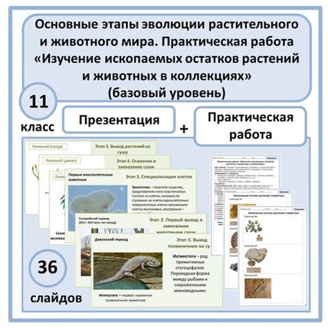 Изучение истории животного мира
