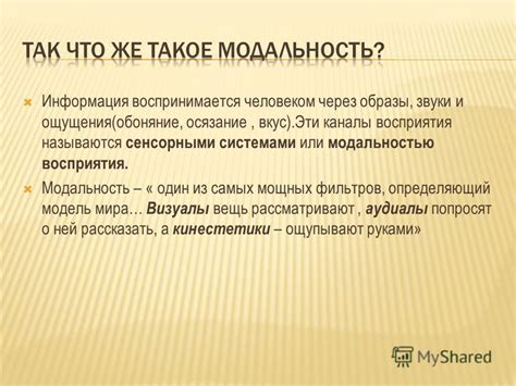 Изучение нового мира через осязание