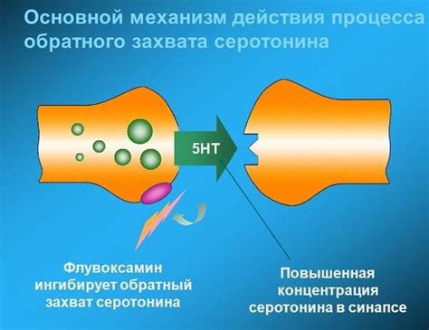 Ингибиторы обратного захвата серотонина