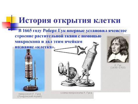 История открытия растительной клетки
