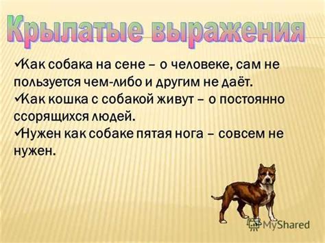 История происхождения и значения фразы "Назло маме отморожу уши"