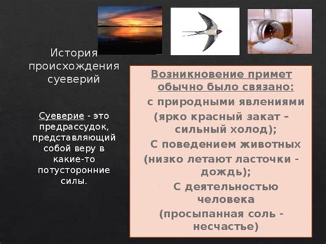 История суеверий и примет связанных с ивой