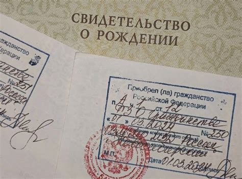 Какие данные содержит красная печать на свидетельстве о рождении