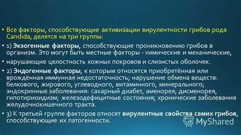 Какие привлекательные факторы могут способствовать проникновению ос в квартиру