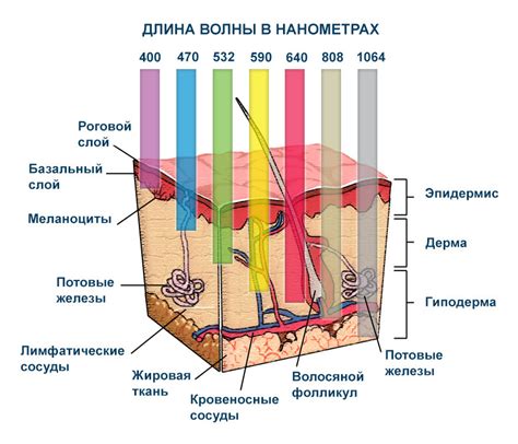 Как влияет гипс на кожу и мышцы