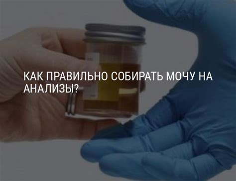Как влияет продолжительное хранение на ясность мочи