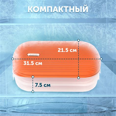 Как выбрать контейнер для заморозки