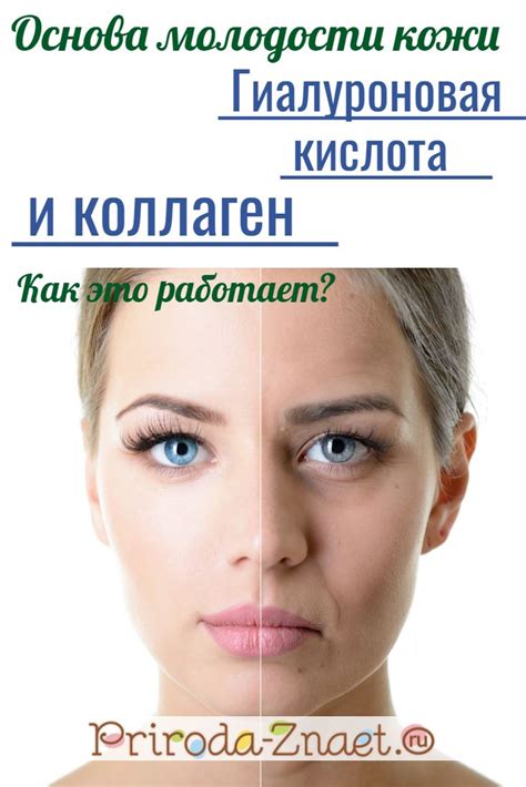 Как действует коллаген на организм