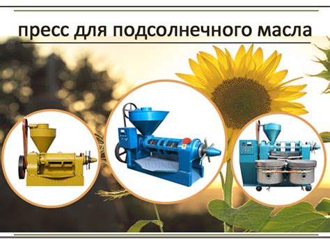 Как избежать замерзания подсолнечного масла